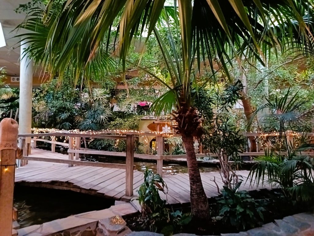 Market Dome Center Parcs Port Zélande