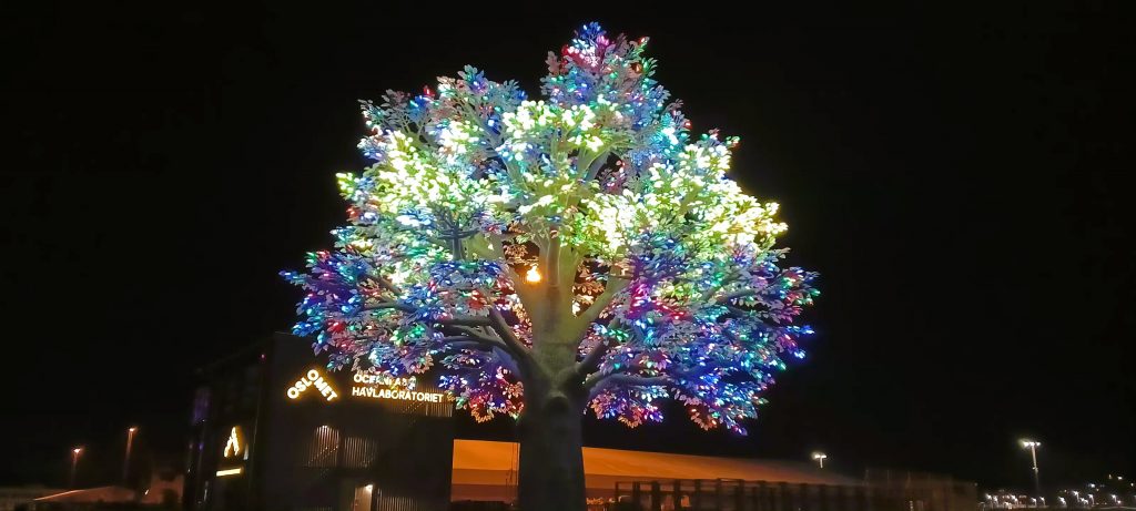 Oslo-Baum - Oslo Treet 